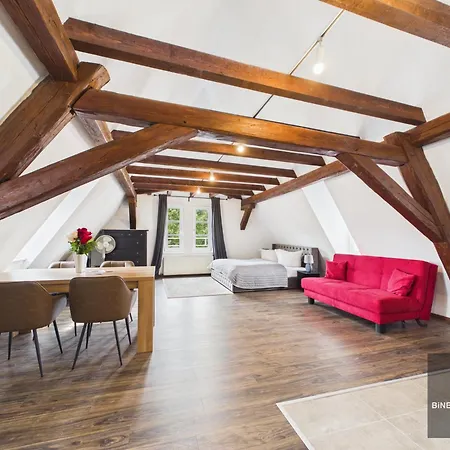 公寓式酒店 Muehlen Traum 41